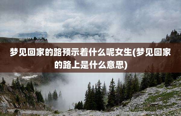 梦见回家的路预示着什么呢女生(梦见回家的路上是什么意思)