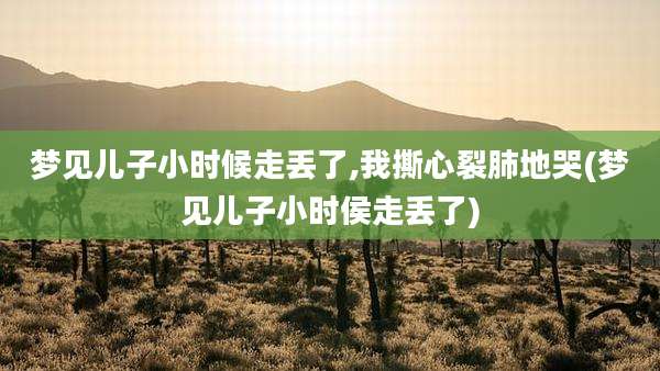梦见儿子小时候走丢了,我撕心裂肺地哭(梦见儿子小时侯走丢了)