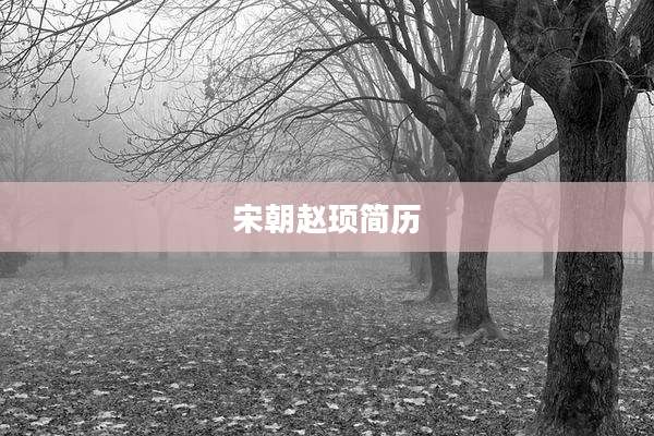 宋朝赵顼简历