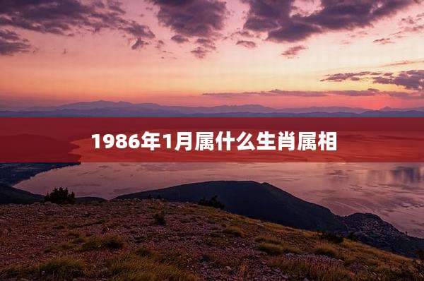 1986年1月属什么生肖属相