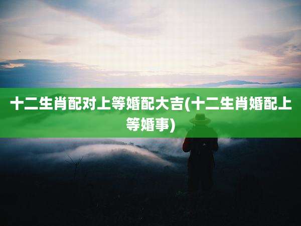 十二生肖配对上等婚配大吉(十二生肖婚配上等婚事)