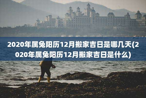 2020年属兔阳历12月搬家吉日是哪几天(2020年属兔阳历12月搬家吉日是什么)