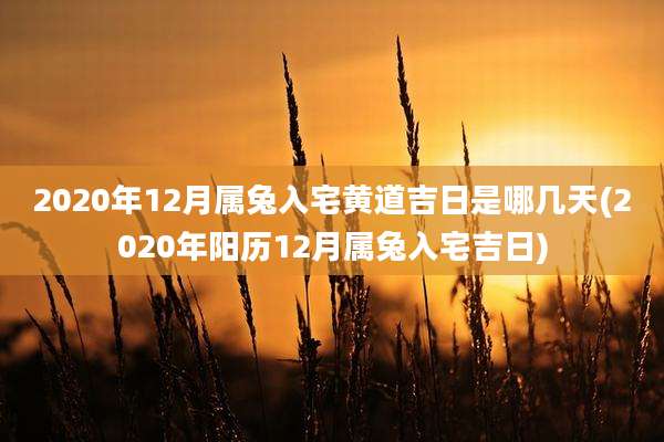 2020年12月属兔入宅黄道吉日是哪几天(2020年阳历12月属兔入宅吉日)