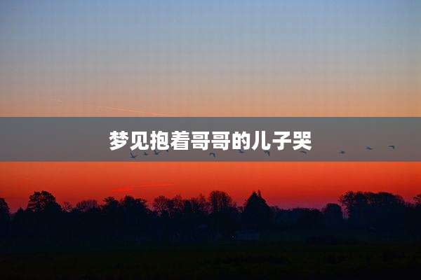 梦见抱着哥哥的儿子哭