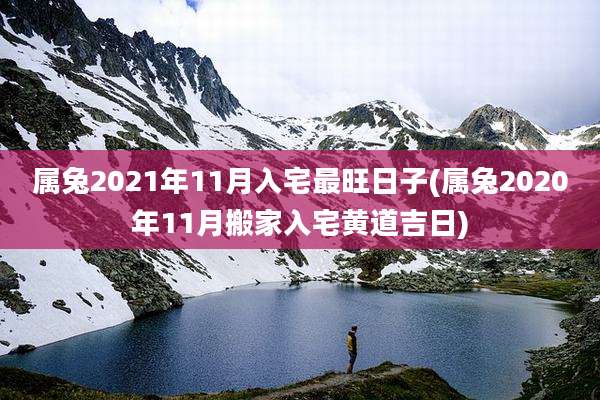 属兔2021年11月入宅最旺日子(属兔2020年11月搬家入宅黄道吉日)