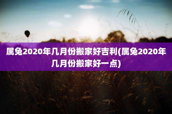 属兔2020年几月份搬家好吉利(属兔2020年几月份搬家好一点)