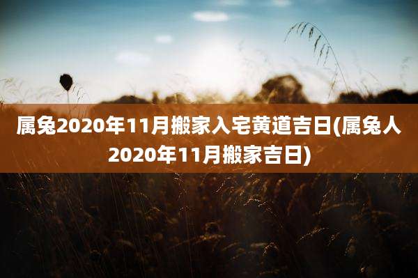 属兔2020年11月搬家入宅黄道吉日(属兔人2020年11月搬家吉日)