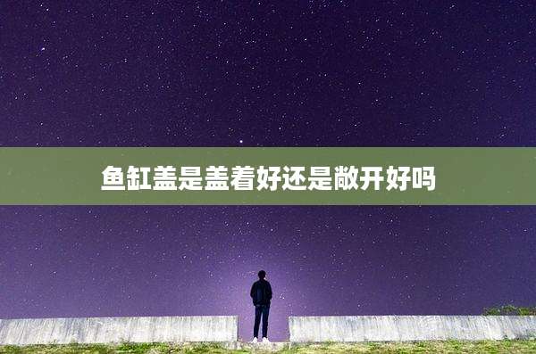 鱼缸盖是盖着好还是敞开好吗