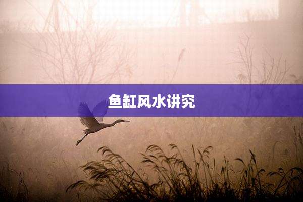 鱼缸风水讲究