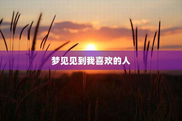 梦见见到我喜欢的人