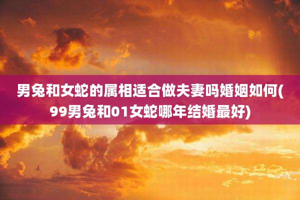 男兔和女蛇的属相适合做夫妻吗婚姻如何(99男兔和01女蛇哪年结婚最好)
