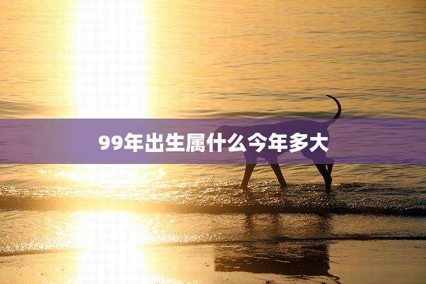 99年出生属什么今年多大