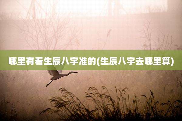 哪里有看生辰八字准的(生辰八字去哪里算)