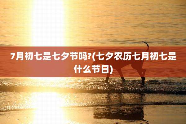 7月初七是七夕节吗?(七夕农历七月初七是什么节日)