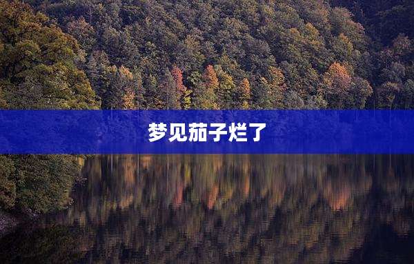 梦见茄子烂了