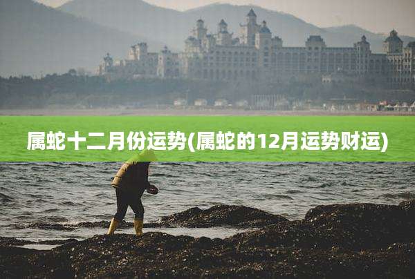 属蛇十二月份运势(属蛇的12月运势财运)