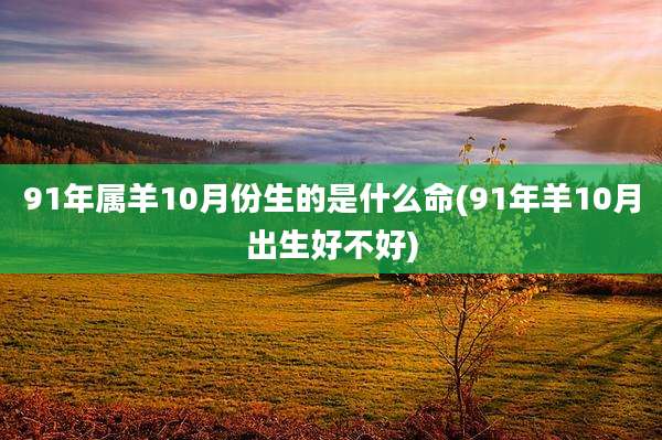 91年属羊10月份生的是什么命(91年羊10月出生好不好)