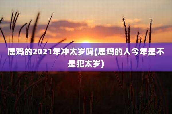 属鸡的2021年冲太岁吗(属鸡的人今年是不是犯太岁)