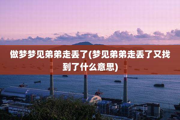 做梦梦见弟弟走丢了(梦见弟弟走丢了又找到了什么意思)
