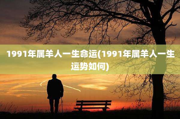 1991年属羊人一生命运(1991年属羊人一生运势如何)