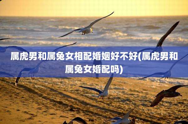 属虎男和属兔女相配婚姻好不好(属虎男和属兔女婚配吗)