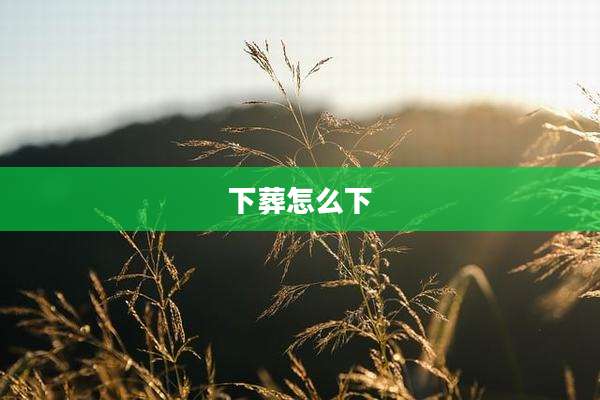 下葬怎么下