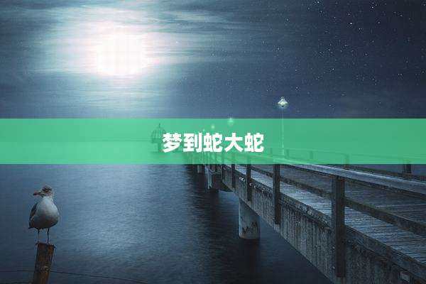 梦到蛇大蛇