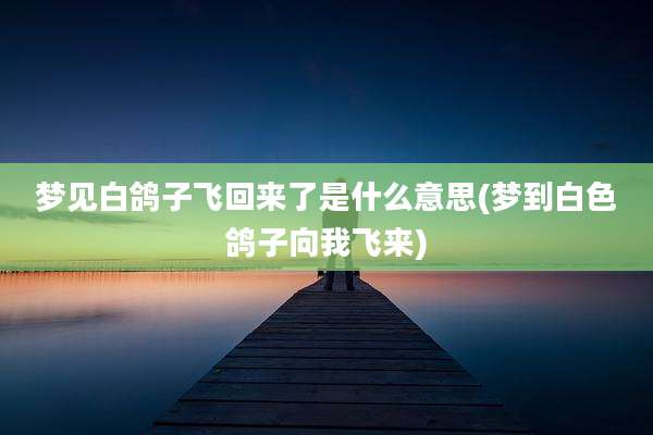 梦见白鸽子飞回来了是什么意思(梦到白色鸽子向我飞来)