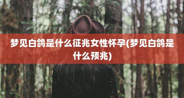 梦见白鸽是什么征兆女性怀孕(梦见白鸽是什么预兆)