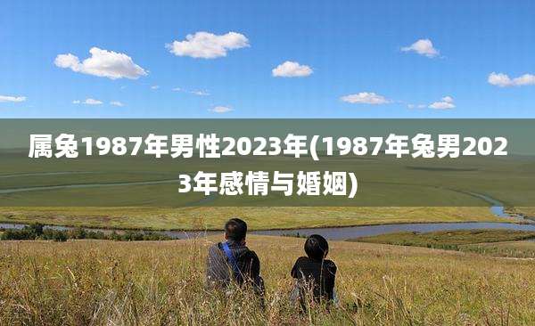 属兔1987年男性2023年(1987年兔男2023年感情与婚姻)