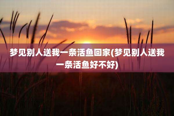 梦见别人送我一条活鱼回家(梦见别人送我一条活鱼好不好)