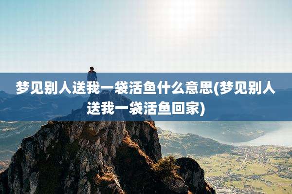 梦见别人送我一袋活鱼什么意思(梦见别人送我一袋活鱼回家)