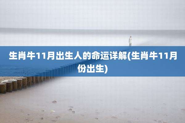 生肖牛11月出生人的命运详解(生肖牛11月份出生)