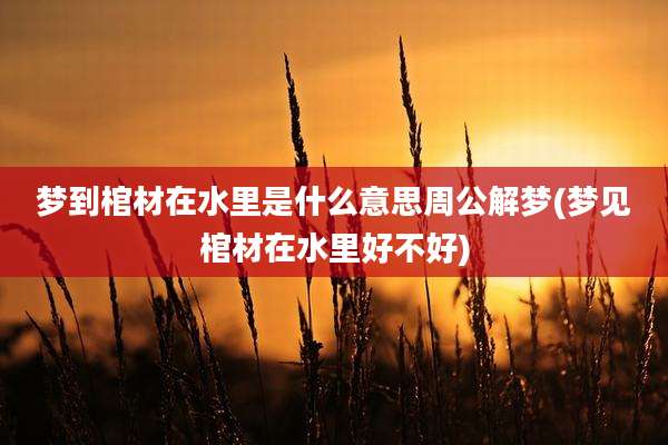 梦到棺材在水里是什么意思周公解梦(梦见棺材在水里好不好)