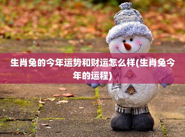 生肖兔的今年运势和财运怎么样(生肖兔今年的运程)