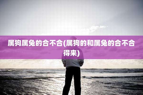 属狗属兔的合不合(属狗的和属兔的合不合得来)
