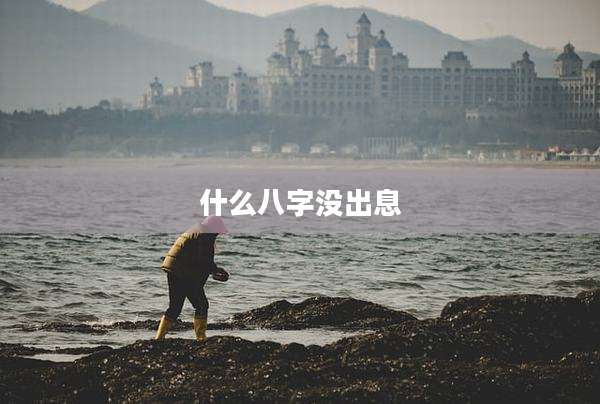 什么八字没出息