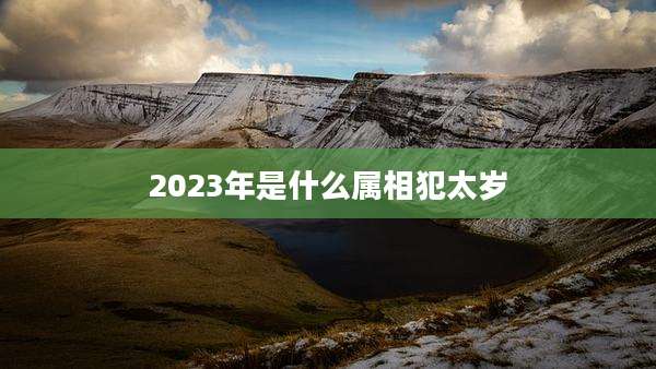 2023年是什么属相犯太岁
