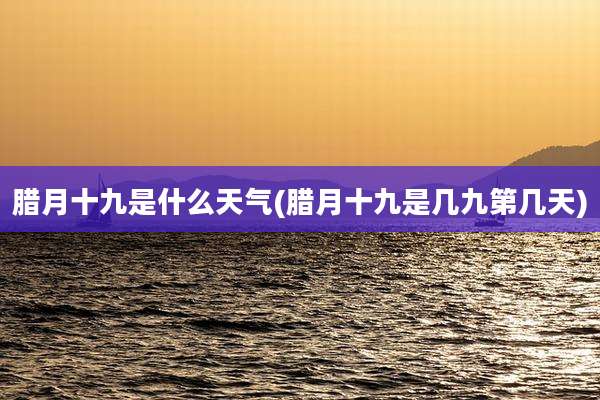 腊月十九是什么天气(腊月十九是几九第几天)