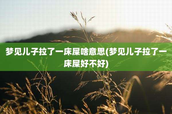 梦见儿子拉了一床屎啥意思(梦见儿子拉了一床屎好不好)