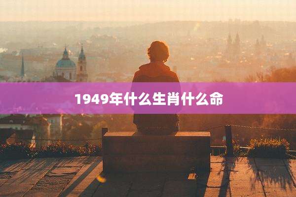1949年什么生肖什么命