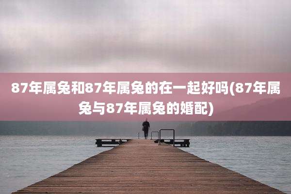 87年属兔和87年属兔的在一起好吗(87年属兔与87年属兔的婚配)