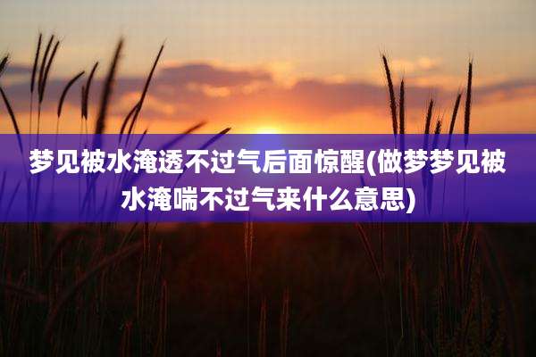 梦见被水淹透不过气后面惊醒(做梦梦见被水淹喘不过气来什么意思)