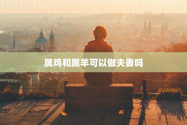 属鸡和属羊可以做夫妻吗