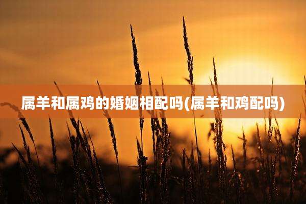 属羊和属鸡的婚姻相配吗(属羊和鸡配吗)