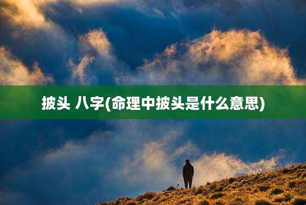 披头 八字(命理中披头是什么意思)