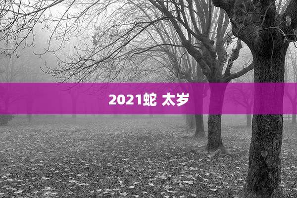 2021蛇 太岁