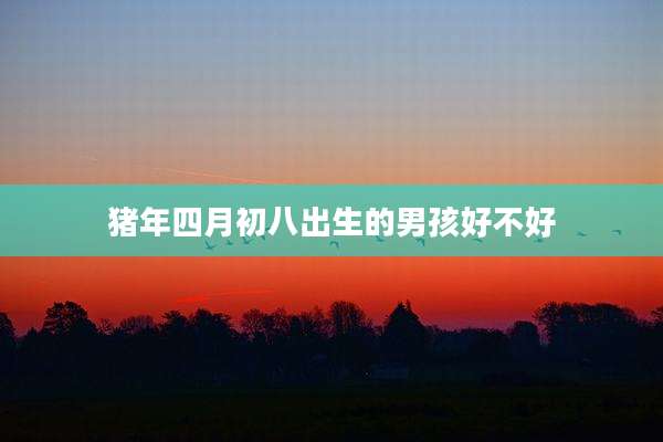 猪年四月初八出生的男孩好不好