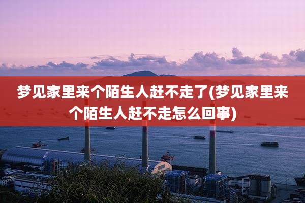 梦见家里来个陌生人赶不走了(梦见家里来个陌生人赶不走怎么回事)