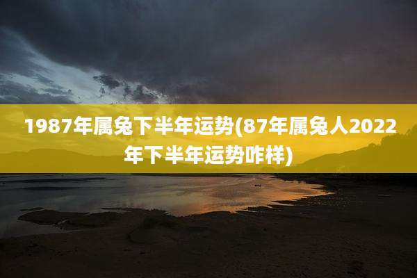 1987年属兔下半年运势(87年属兔人2022年下半年运势咋样)